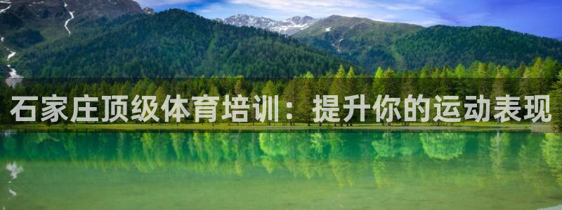 极悦平台注册官网入口：石家庄顶级体育培训：提升你的运