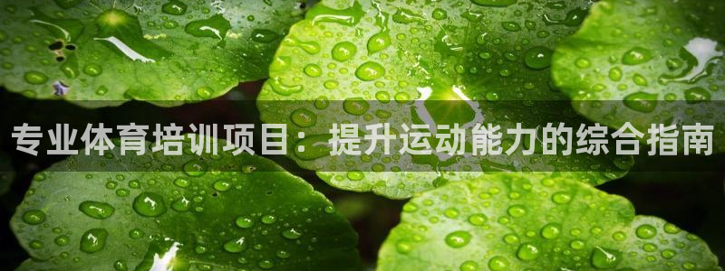 极悦平台注册用户名格式错误：专业体育培训项目：提升运