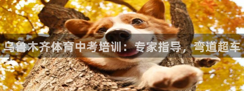 极悦平台注册申请流程详解图片：乌鲁木齐体育中考培训：
