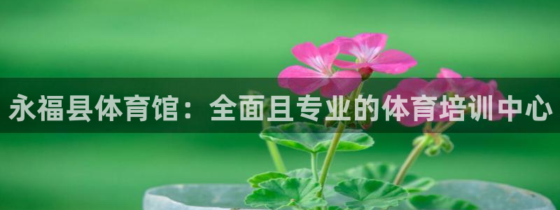极悦平台用户评价与反馈：永福县体育馆：全面且专业的体