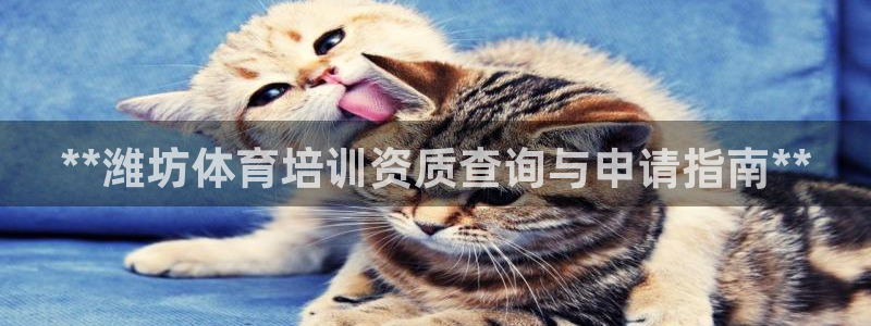 极悦平台登录不进去怎么回事儿：**潍坊体育培训资质查
