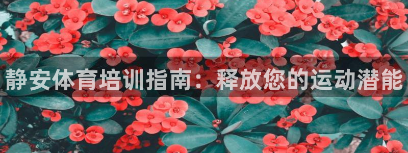 极悦平台保7O777：静安体育培训指南：释放您的运动