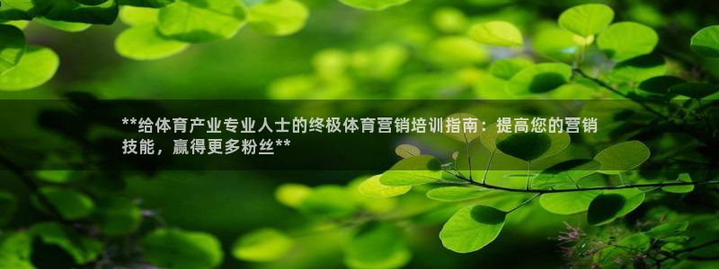 极悦平台代理怎么赚钱的：**给体育产业专业人士的终极