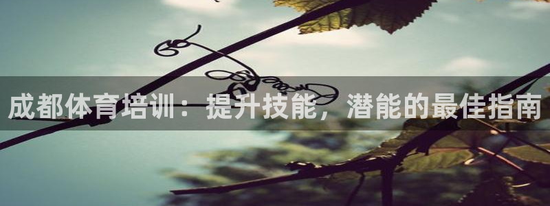 极悦娱乐登录拒绝访问怎么办啊：成都体育培训：提升技能