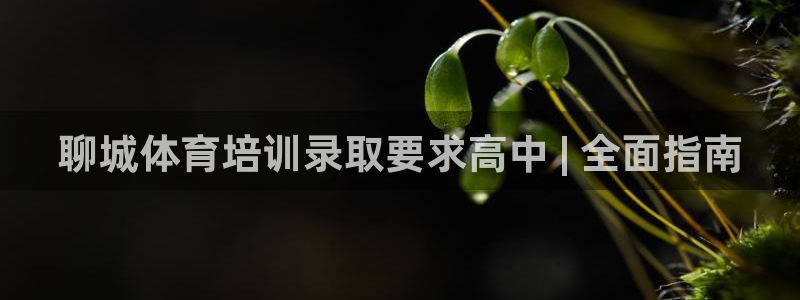 极悦娱乐官网客服联系方式查询：聊城体育培训录取要求高