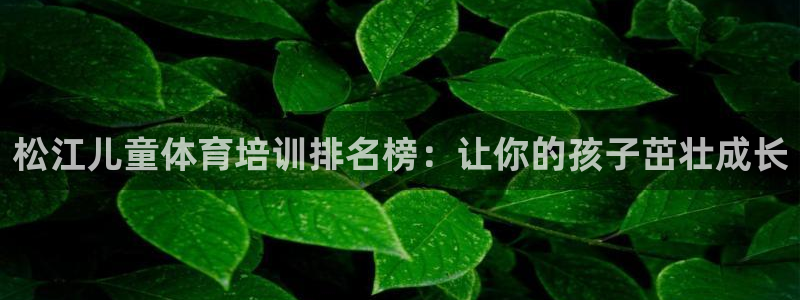 极悦平台注册和登录页面一样吗：松江儿童体育培训排名榜