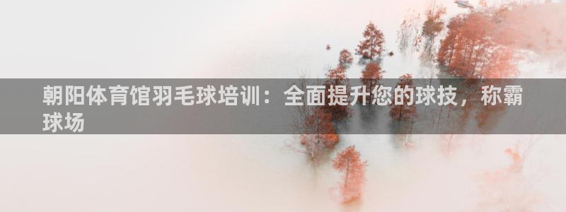 极悦平台创始人背景故事：朝阳体育馆羽毛球培训：全面提