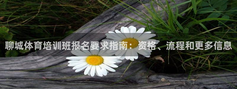 极悦平台官网登录入口网址查询：聊城体育培训班报名要求