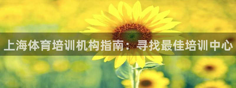 极悦娱乐官网入口网站：上海体育培训机构指南：寻找最佳
