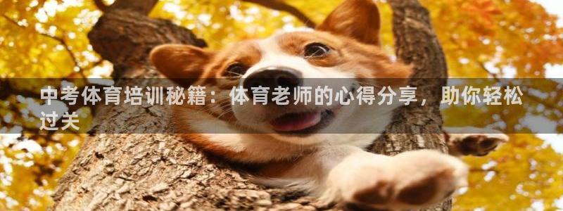 极悦平台官网登录入口：中考体育培训秘籍：体育老师的心