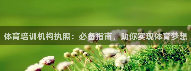 极悦平台注册官网：体育培训机构执照：必备指南，助你实
