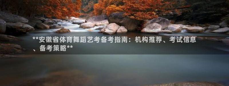 极悦平台是干嘛的公司：**安徽省体育舞蹈艺考备考指南