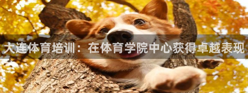 极悦娱乐旗下艺人名单：大连体育培训：在体育学院中心获