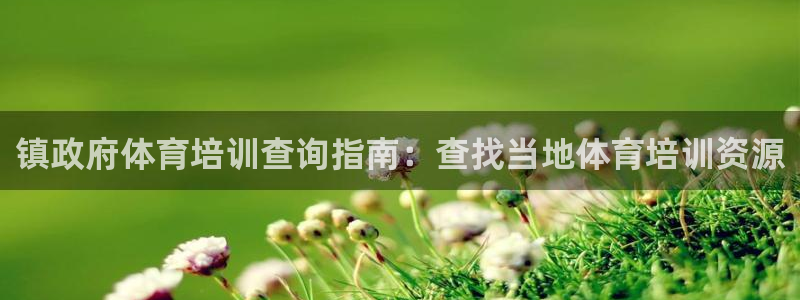 极悦平台注册和登录页面一样吗：镇政府体育培训查询指南