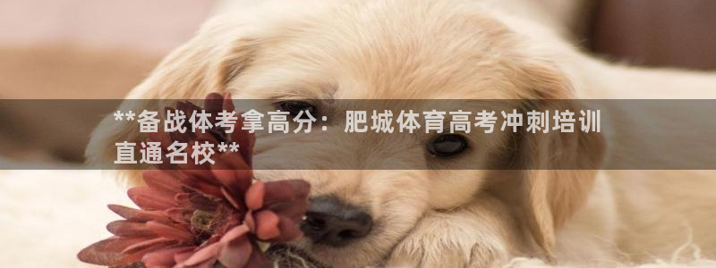 极悦娱乐登录拒绝访问怎么办啊：**备战体考拿高分：肥