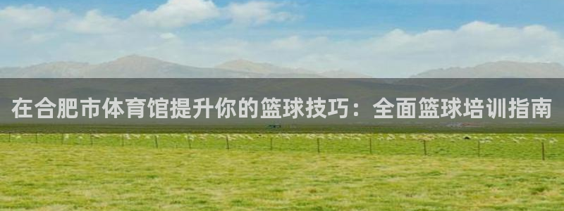 极悦娱乐官方网站入口：在合肥市体育馆提升你的篮球技巧