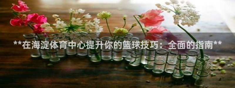 极悦娱乐股东有哪些：**在海淀体育中心提升你的篮球技