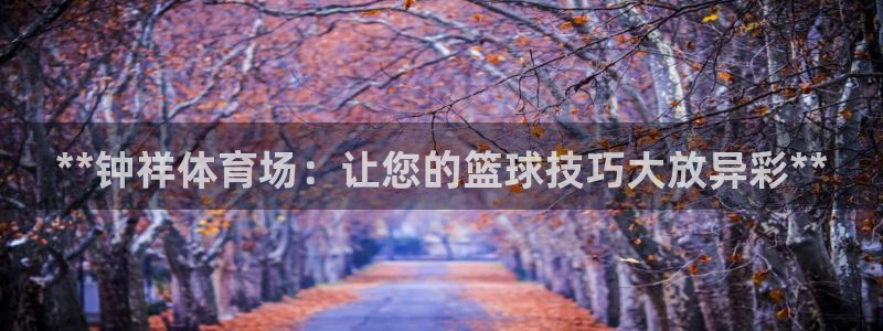 极悦平台注册和登录页面在哪：**钟祥体育场：让您的篮