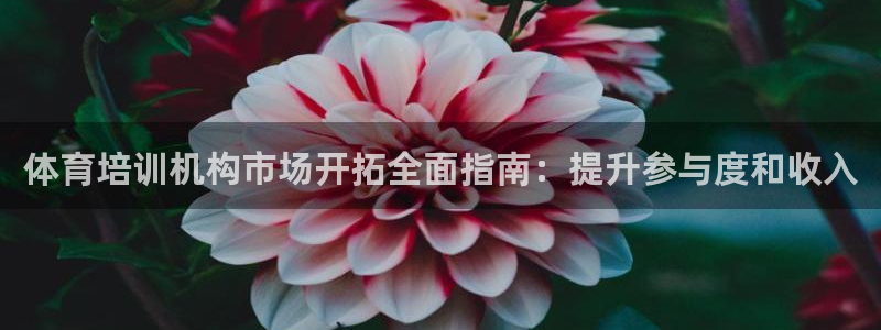 极悦娱乐方7O777：体育培训机构市场开拓全面指南：