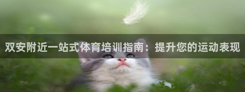极悦平台代理怎么赚钱的：双安附近一站式体育培训指南：