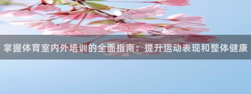 极悦娱乐代理人是谁呀：掌握体育室内外培训的全面指南：
