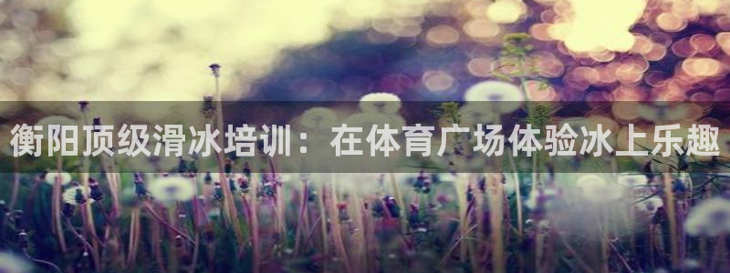 极悦娱乐官网客服联系方式是什么：衡阳顶级滑冰培训：在