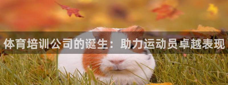 极悦平台登录人7.0.2.4登录入口：体育培训公司的