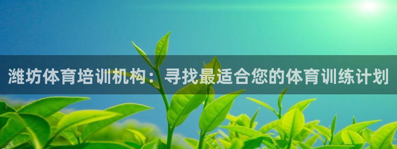 极悦娱乐贴吧最新消息：潍坊体育培训机构：寻找最适合您