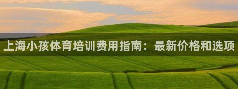 极悦平台注册流程详解图片：上海小孩体育培训费用指南：