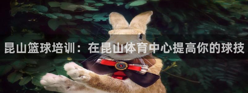 无锡极悦科技有限公司：昆山篮球培训：在昆山体育中心提