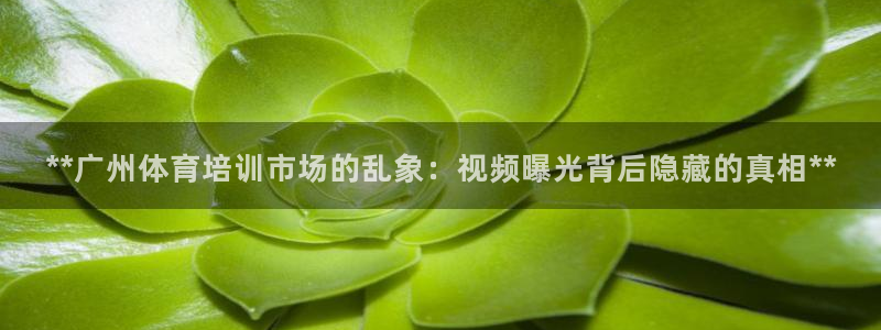 极悦平台创始人背景故事：**广州体育培训市场的乱象：