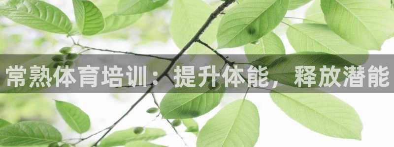 极悦平台创始人背景故事：常熟体育培训：提升体能，释放