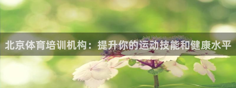 极悦平台登录7.0.2.4手机版下载安装：北京体育培