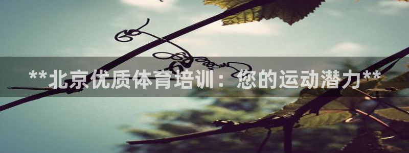 极悦平台家7O777：**北京优质体育培训：您的运动