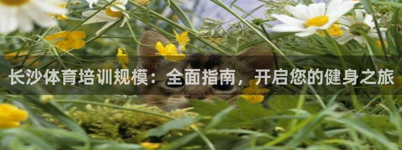 极悦娱乐登录拒绝访问怎么办理：长沙体育培训规模：全面