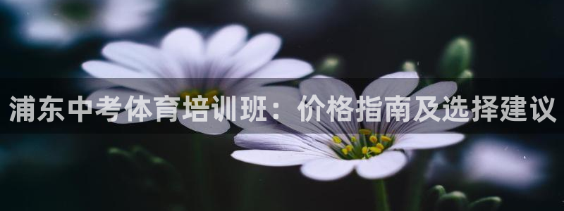 极悦平台注册失败如何解决问题：浦东中考体育培训班：价