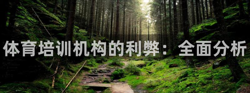 极悦平台是正规平台吗安全吗：体育培训机构的利弊：全面