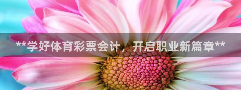 极悦平台有风险吗现在：**学好体育彩票会计，开启职业