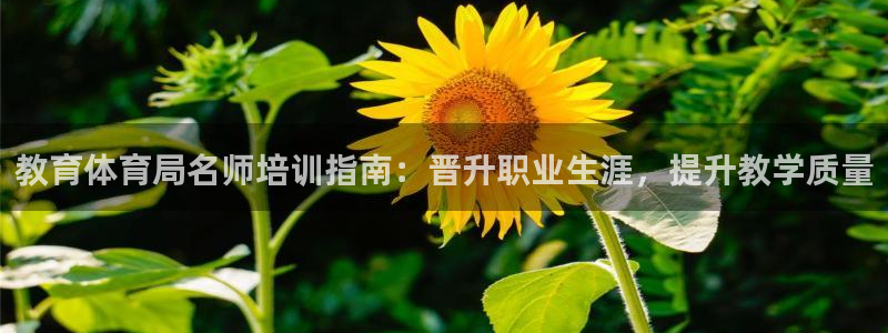 极悦平台用户反馈和反馈：教育体育局名师培训指南：晋升