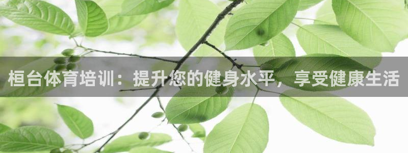 极悦娱乐官方网站首页：桓台体育培训：提升您的健身水平