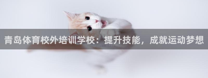 极悦生活家是什么平台的软件：青岛体育校外培训学校：提