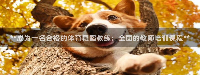 极悦平台官方网站登录不了：**成为一名合格的体育舞蹈