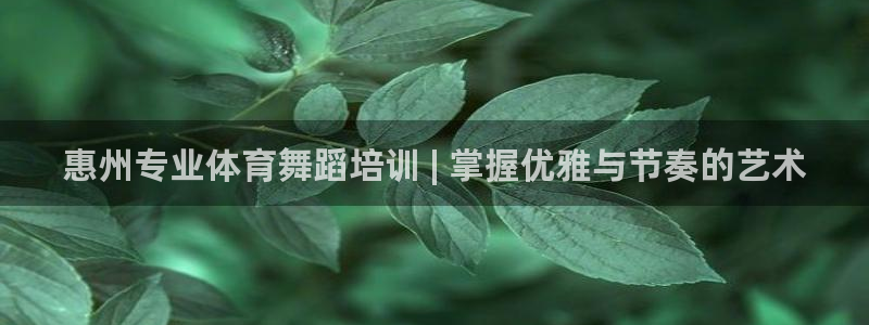 极悦平台注册用户名生成器是什么：惠州专业体育舞蹈培训