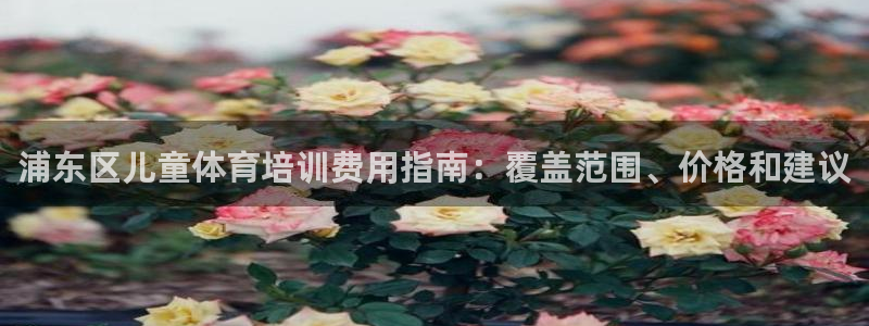 加盟极悦教育要多少钱：浦东区儿童体育培训费用指南：覆