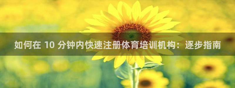 极悦娱乐的最新版本更新内容：如何在 10 分钟内快速