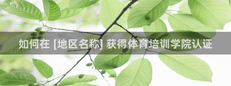 极悦娱乐的创始人背景故事简介：如何在 [地区名称] 