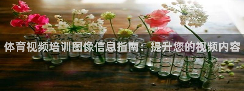 极悦平台官方网站首页登录：体育视频培训图像信息指南：