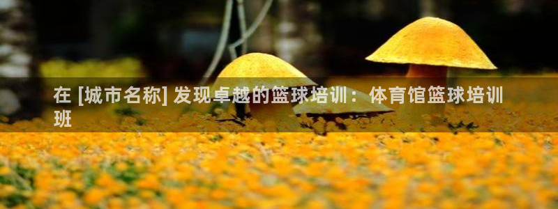 加盟极悦教育怎么样：在 [城市名称] 发现卓越的篮球