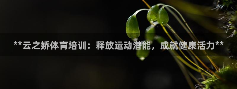 极悦官网首页：**云之娇体育培训：释放运动潜能，成就