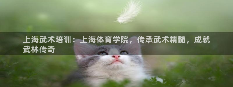 极悦娱乐的最新版本更新内容在哪：上海武术培训：上海体
